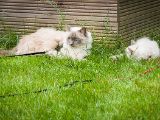 20150711-IMG 8686