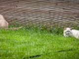 20150711-IMG 8687