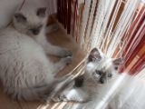 20130707-IMG 9528