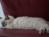 20130707-IMG 9544