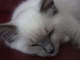 20130707-IMG 9548