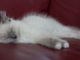 20130707-IMG 9554