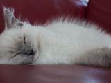 20130707-IMG 9557