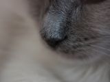 20130707-IMG 9560