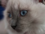 20130707-IMG 9603
