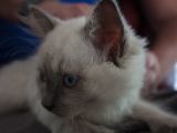 20130707-IMG 9604