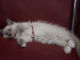 20130707-IMG 9609