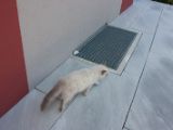 20130707-IMG 9627