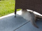 20130707-IMG 9628