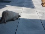 20130707-IMG 9631