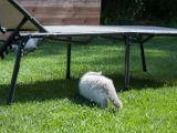 20130707-IMG 9635