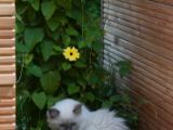20130707-IMG 9644