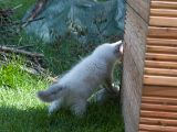 20130707-IMG 9654