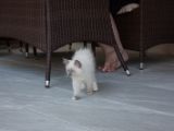 20130707-IMG 9673