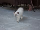 20130707-IMG 9674