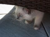 20130707-IMG 9676