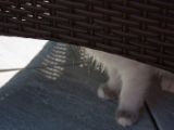 20130707-IMG 9678