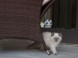 20130707-IMG 9681