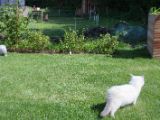 20130707-IMG 9687