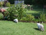 20130707-IMG 9688
