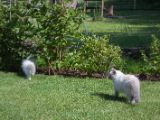 20130707-IMG 9689