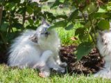 20130707-IMG 9695