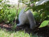 20130707-IMG 9698
