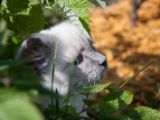 20130707-IMG 9729