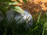 20130707-IMG 9734