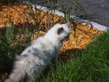 20130707-IMG 9738