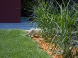 20130707-IMG 9739