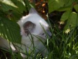 20130707-IMG 9749