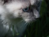 20130707-IMG 9752