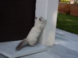 20130707-IMG 9759