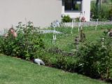 20130707-IMG 9764