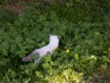 20130707-IMG 9766