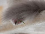20130707-IMG 9769