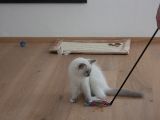 20130708-IMG 9790