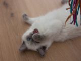 20130708-IMG 9791