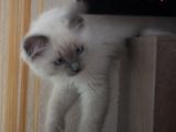 20130708-IMG 9797