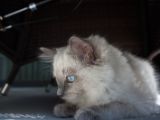 20130708-IMG 9799
