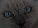 20130708-IMG 9810