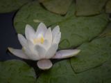 20120602-IMG 3598