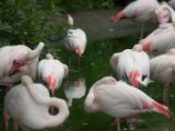 20120602-IMG 3610
