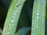 20120602-IMG 3618