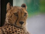 20120602-IMG 3625