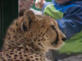 20120602-IMG 3632
