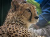 20120602-IMG 3633