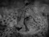20120602-IMG 3644