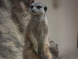 20120602-IMG 3645